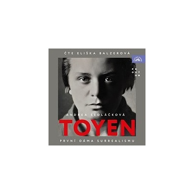 Eliška Balzerová Sedláčková: Toyen MP3