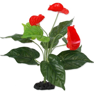 Repti Planet kvetoucí Anthurium 40 cm – Zboží Dáma