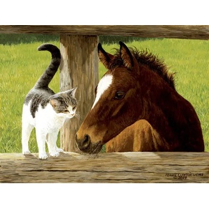 SunsOut - Puzzle Whiskery hello - 500 piese