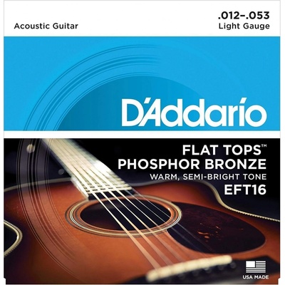 DAddario EFT16