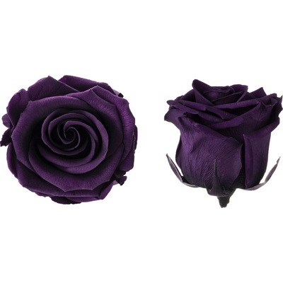 Hlavy ruží - princess 16 ks Purple - fialová