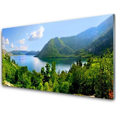 Obraz na skle Les Jezero Hory Krajina 100x50 cm
