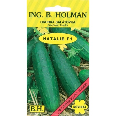 Okurka salátová do fóliovníku Natalie F1