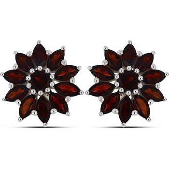 Nefertitis NF44109