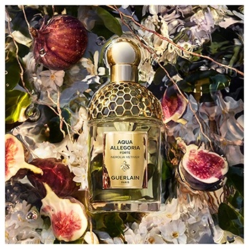 Image 1 of Guerlain Aqua Allegoria Nerolia Vetiver Forte EDP 125 ml