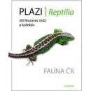 Plazi