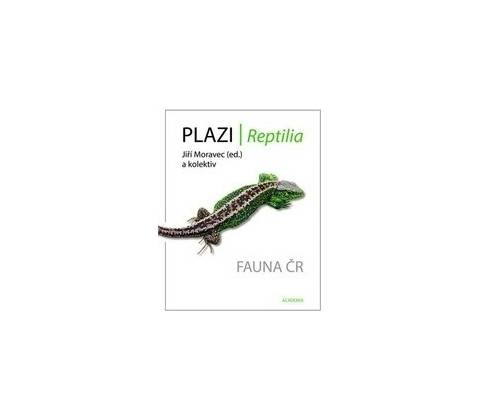 Plazi