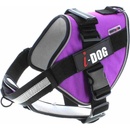 iDOG postroj NeoCITY