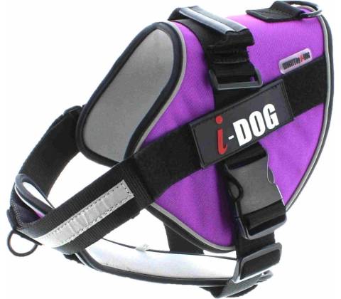 iDOG postroj NeoCITY