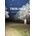 Treblinka