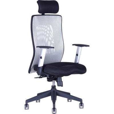 Office Pro Calypso XL SP1