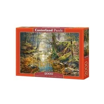 Castorland Puzzle 2000 pcs. Reminiscence of the Autumn Forest