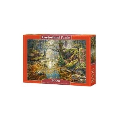 Castorland Puzzle 2000 pcs. Reminiscence of the Autumn Forest