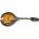 Epiphone 0560174