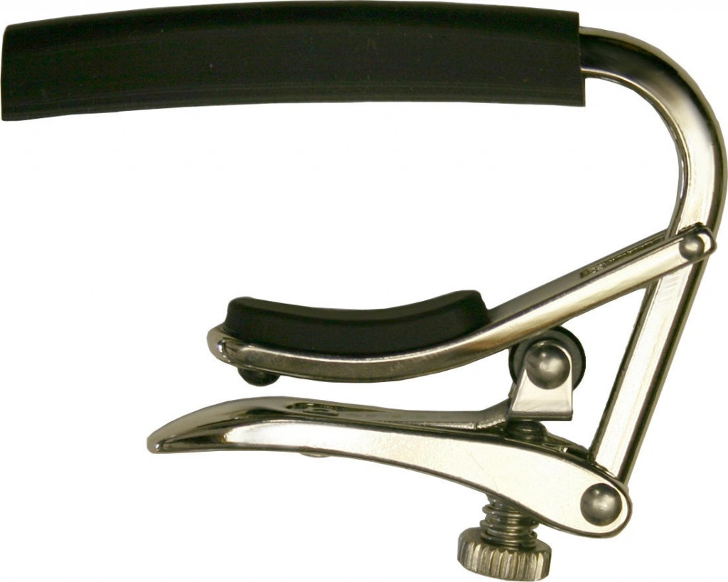 Shubb C3 12- String