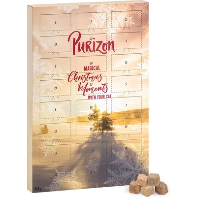 Purizon Adventní kalendář bez obilovin 1 kus 15,6 g