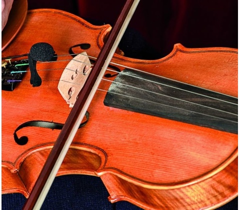 Prodipe VL21