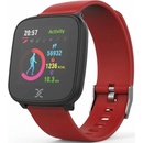 Image 1 of Daniel Klein DW-019