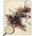 Drevený obraz Feathers