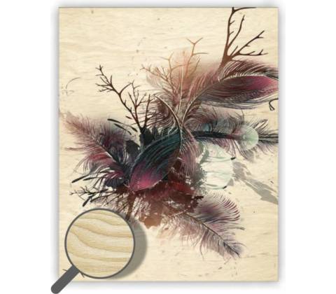 Drevený obraz Feathers