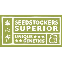 Seedstockers Superior Mack & Crack AUTO semena neobsahují THC 5 ks