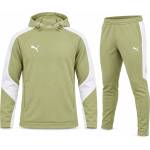 PUMA Мъжки спортен екип evostripe team winter - 659954-40 / 659948-40
