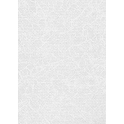 ELBE Фолио за басейн Pearl Premium Line - White - Дебелина 1, 6 мм / 25 x 1, 65 м (530300209)