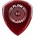 Dunlop 550P300