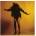 The Last Shadow Puppets - Everything You've Come To Expect (LP) (887828037117)