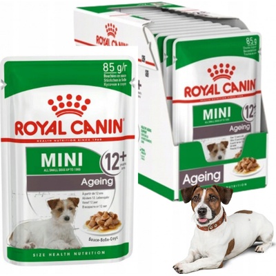 Royal Canin Mini Ageing 12+ 12 x 85 g