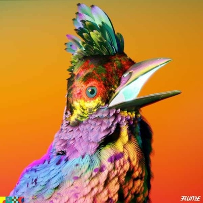 Palaces - Flume LP
