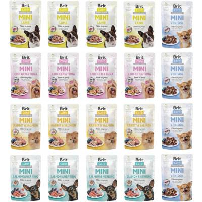 Brit sáček mix chutí 20 x 85 g