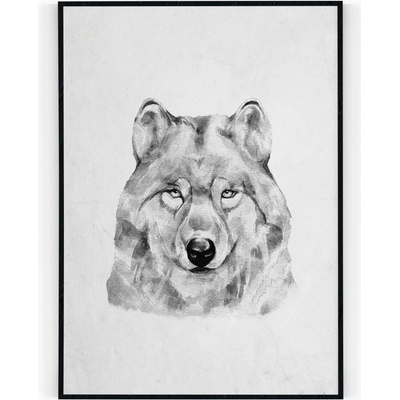 Plakát / Obraz Vlk 30 x 40 cm Tiskové plátno – Hledejceny.cz