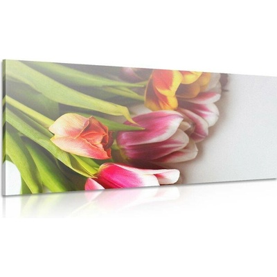 Obraz kytice barevných tulipánů - 100x50