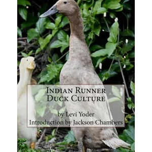 Indian Runner Duck Culture | Levi Yoder, Jackson Chambers (ISBN: 9781539714323)