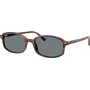 Ray-Ban RB2232 954/62