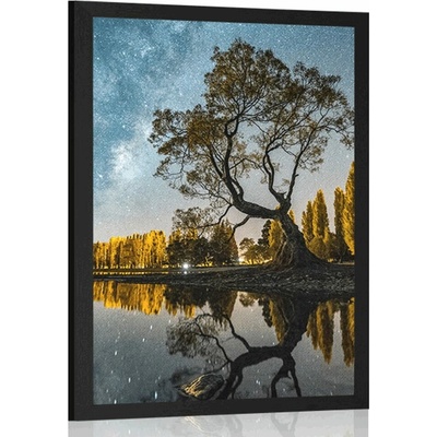 Plakát strom pod hvězdnou oblohou - 60x90 white