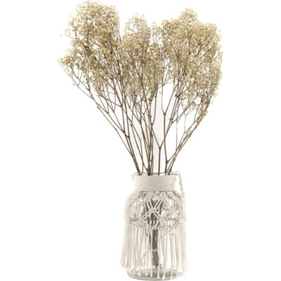 Stabilizované kvety Gypsophila - prírodná