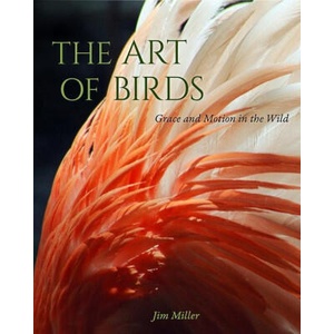 Art of Birds | Jim Miller (ISBN: 9780813066769)