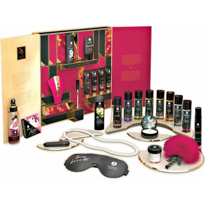 Shunga Exclusive 25-th anniversary desires calendar