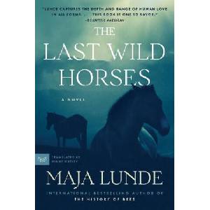 The Last Wild Horses | Diane Oatley (ISBN: 9780062951427)
