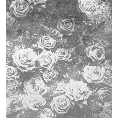 DIMEX MS-3-0378 vliesová fototapeta rozměry 225 x 250 cm