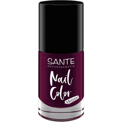 Lak na nechty 04 Plumtheory Sante Objem 8 ml