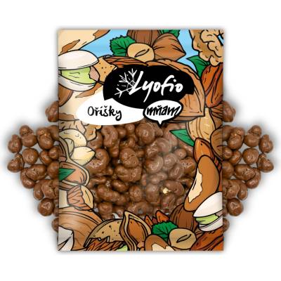 Lyofio Kešu v mléčné čokoládě 200 g
