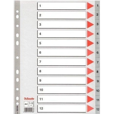 ESSELTE Rejstříky, šedá, A4, plast, 1-12, ESSELTE 400436