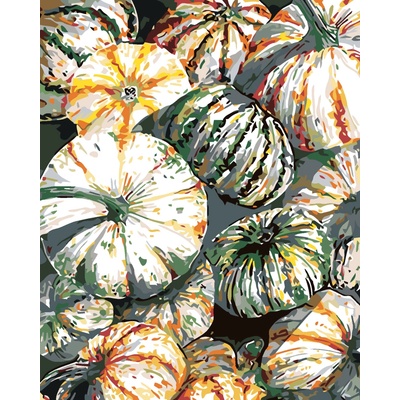 ZUTY Malování podle čísel DÝNĚ ALEXANDRIA GILBERT Rozměr 80 x 100 cm Rámování vypnuté plátno na rám