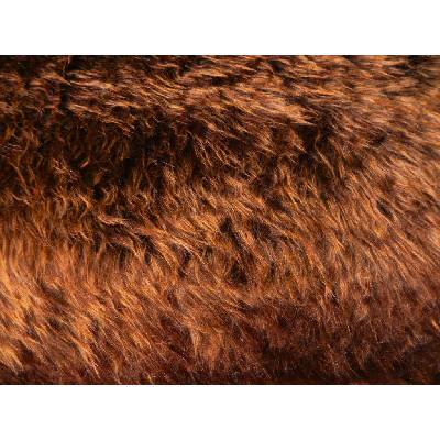 Umelá kožušina, ryšavo hnedá, 45 mm vlas metráž: min. 0,2 bm
