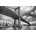 Ceduľa New York Bridge