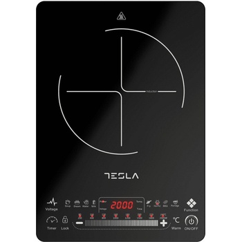Tesla IC400B