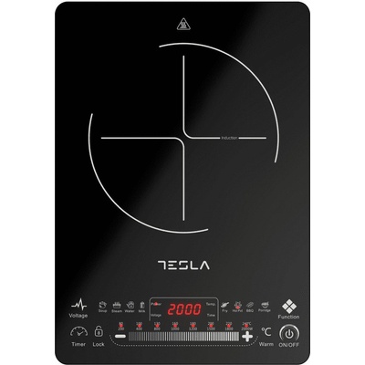 Tesla IC400B